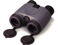 Fujinon 10x42 HS Binoculars